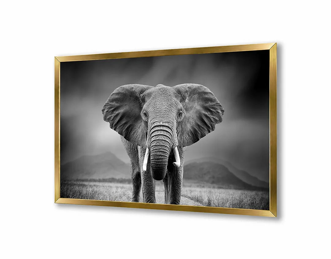 Metalen Magneetbord met afbeelding van portret van een olifant in zwart-wit kleuren