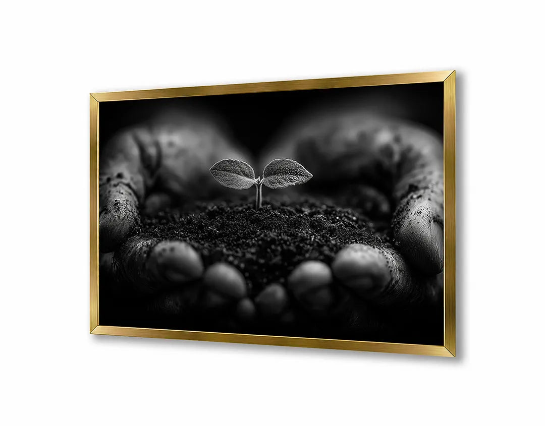 Metalen Magneetbord met hoogwaardige afbeelding van Handen met aarde plantje zwart wit voor aan de muur