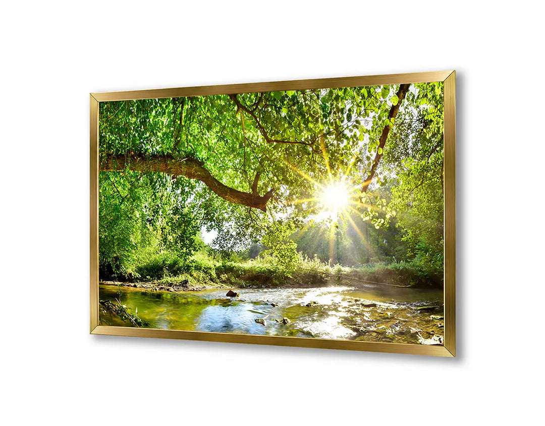 Metalen Magneetbord met afbeelding van groen bos met zonnestralen in fris bosgroen kleuren