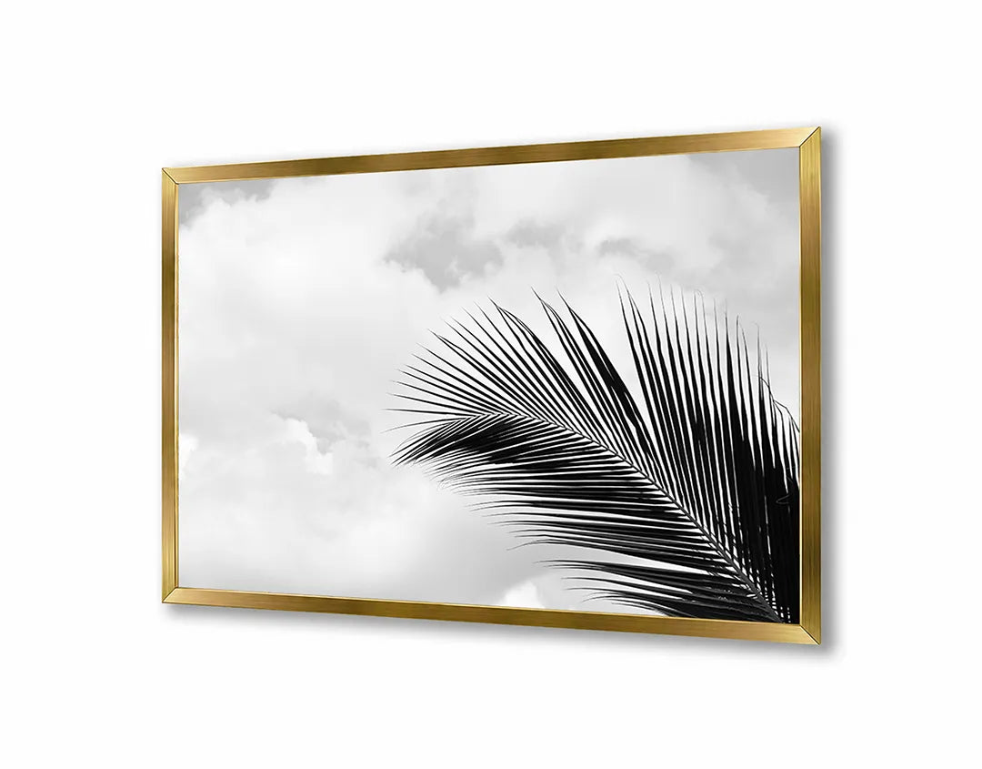 Metalen Magneetbord met afbeelding van palmblad in zwart-wit in zwart-wit kleuren