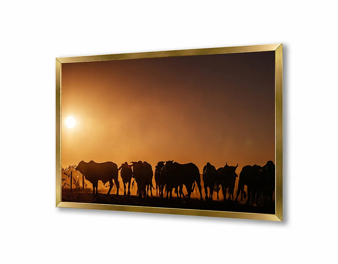 Metalen Magneetbord met print van Koeien silhouet zonsondergang perfect als decoratie