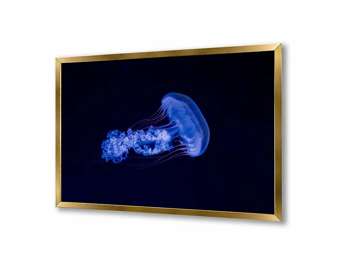 Metalen Magneetbord met print van Blauwe kwal onderwater perfect als decoratie