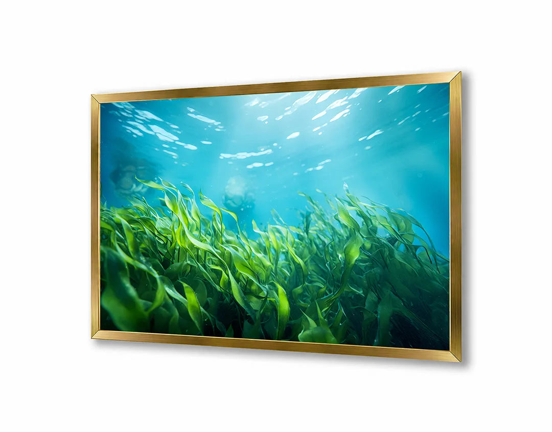 Metalen Magneetbord met print van Groene bladeren onderwater perfect als decoratie