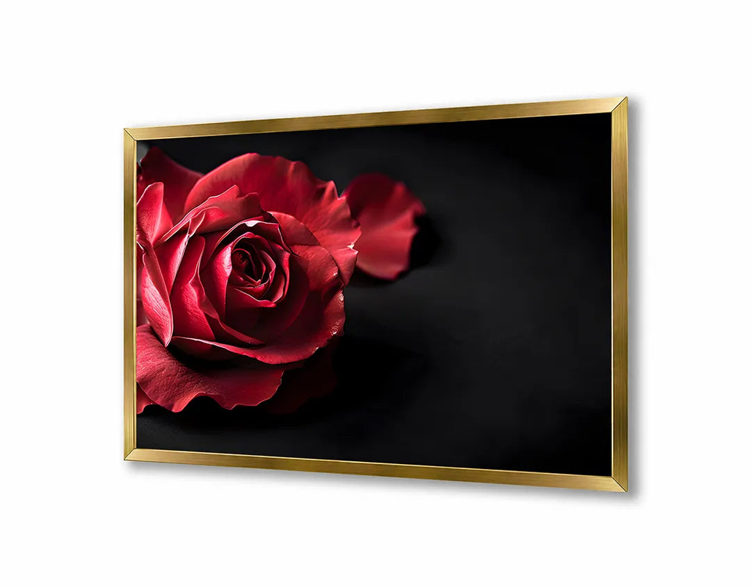 Metalen Magneetbord met print van Rode roos op zwart perfect als decoratie