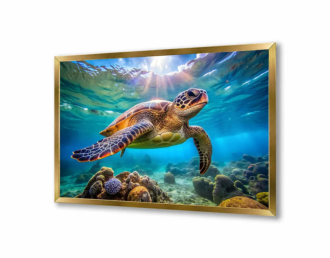 Metalen Magneetbord met hoogwaardige afbeelding van Zeeschildpad onderwater voor aan de muur