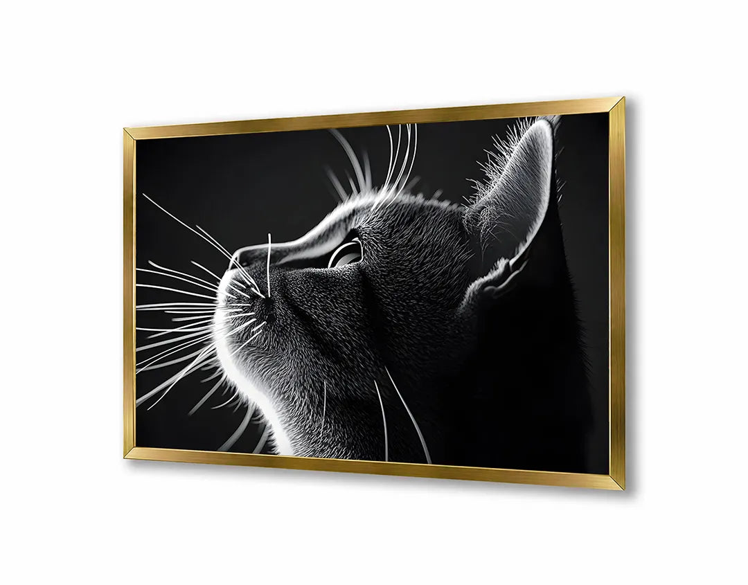 Metalen Magneetbord met hoogwaardige afbeelding van Zwart wit kat profiel voor aan de muur