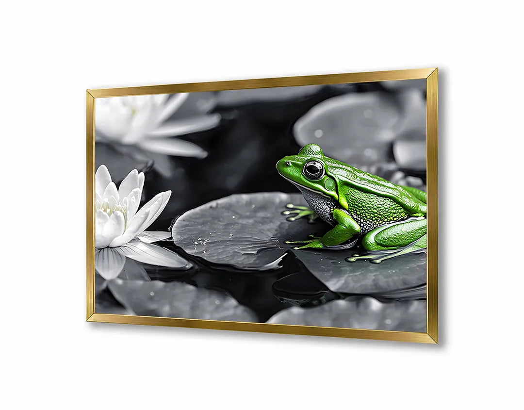 Metalen Magneetbord met hoogwaardige afbeelding van Kikker op lotusblad voor aan de muur