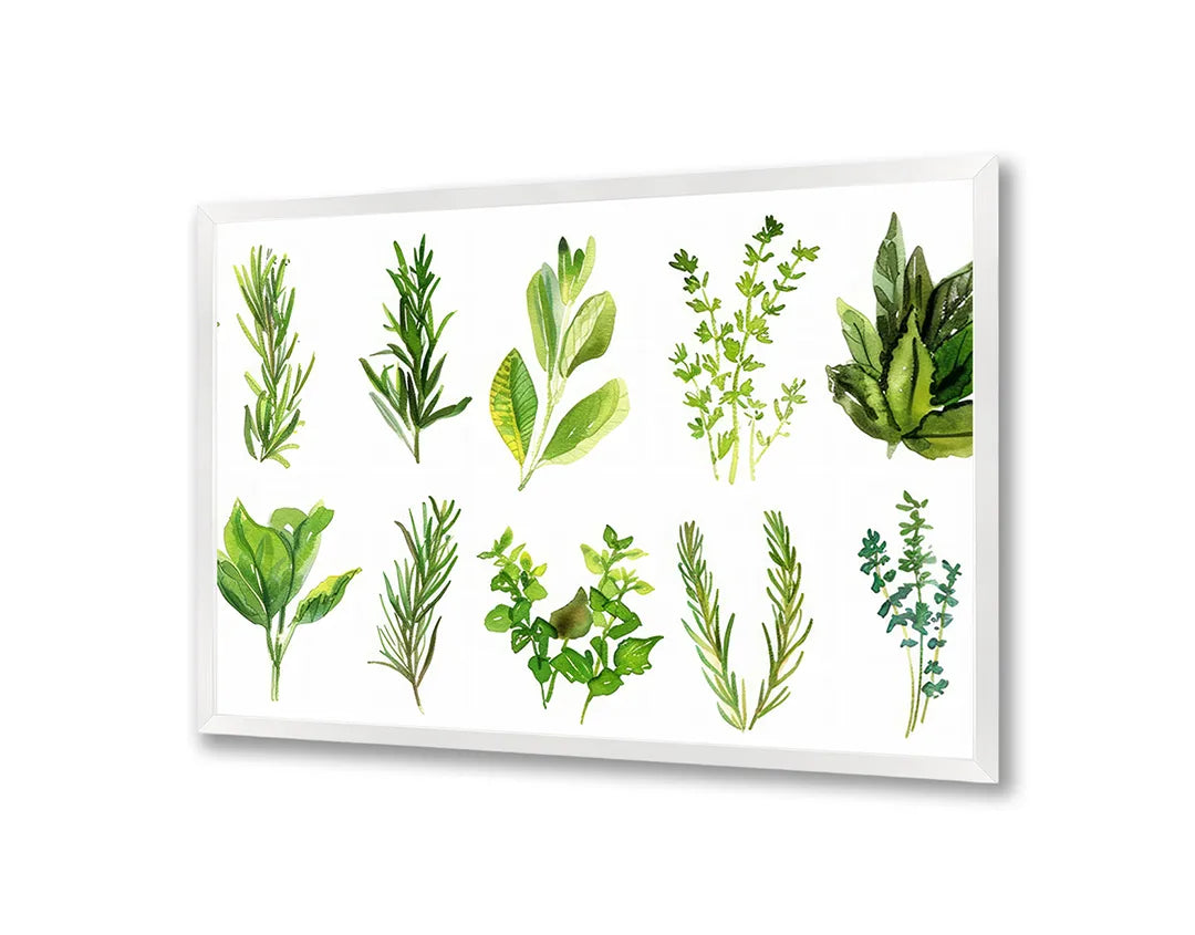 Metalen Magneetbord met hoogwaardige afbeelding van Groene kruiden set illustratie voor aan de muur