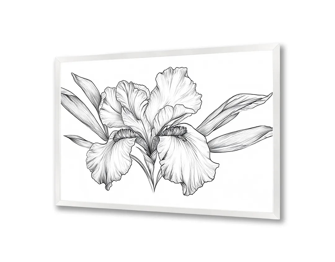 Metalen Magneetbord met hoogwaardige afbeelding van Zwart wit bloemtekening voor aan de muur