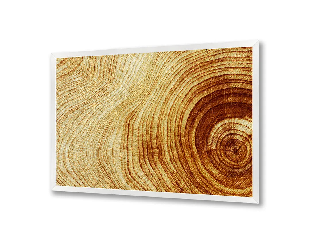 Metalen Magneetbord met hoogwaardige afbeelding van Boomstam doorsnede ringen hout voor aan de muur
