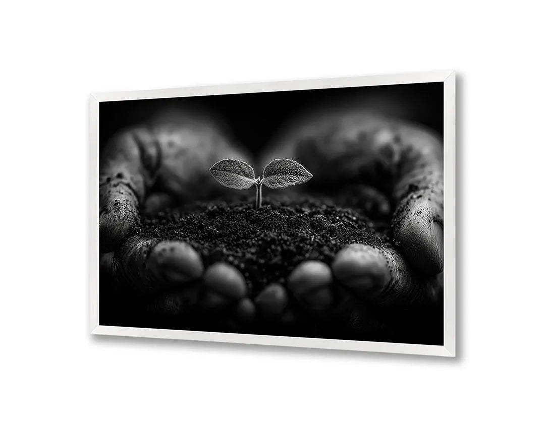 Metalen Magneetbord met hoogwaardige afbeelding van Handen met aarde plantje zwart wit voor aan de muur