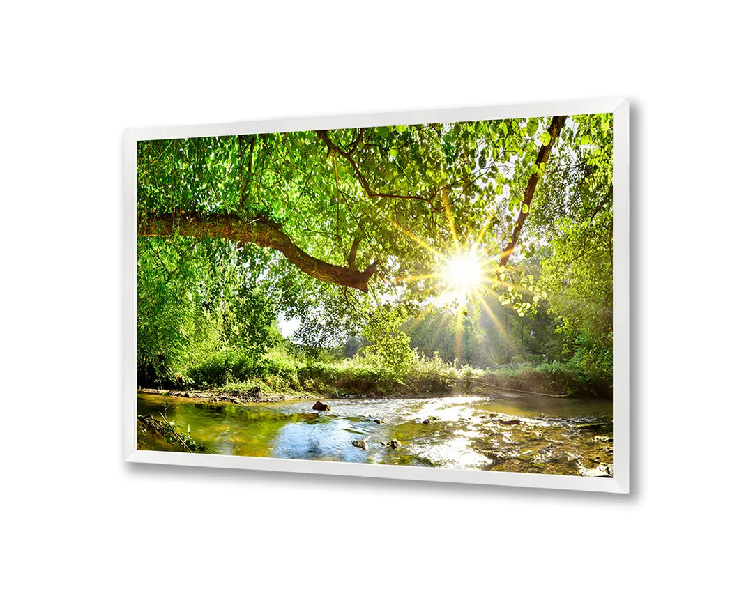 Metalen Magneetbord met afbeelding van groen bos met zonnestralen in fris bosgroen kleuren