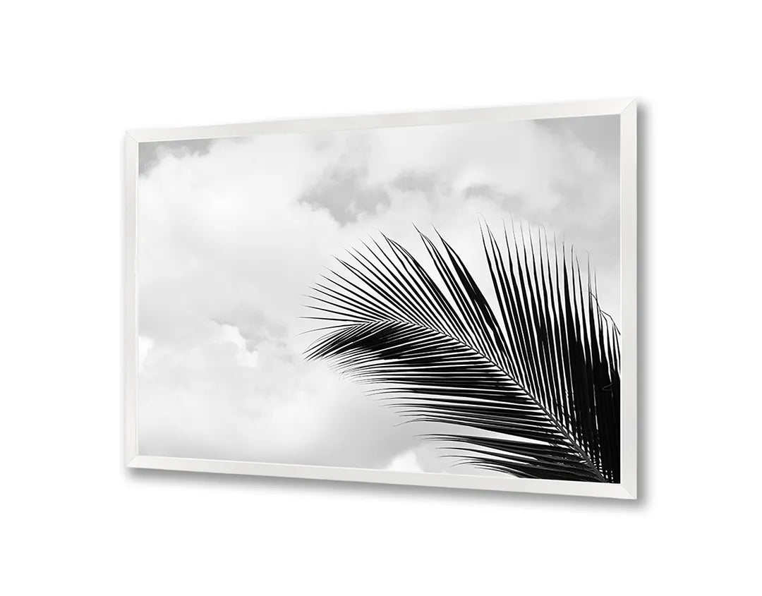 Metalen Magneetbord met afbeelding van palmblad in zwart-wit in zwart-wit kleuren