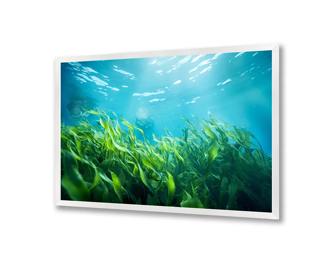 Metalen Magneetbord met print van Groene bladeren onderwater perfect als decoratie
