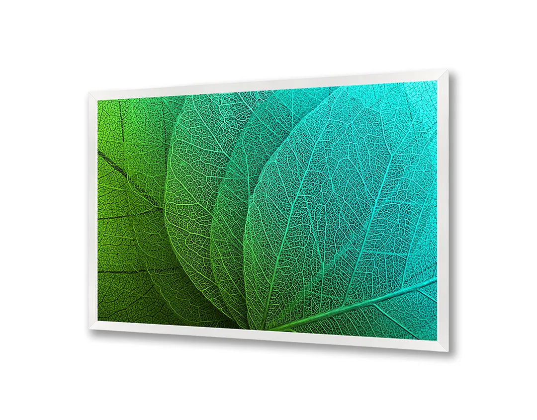 Metalen Magneetbord met afbeelding van groen blad macro detail in levendig groen kleuren