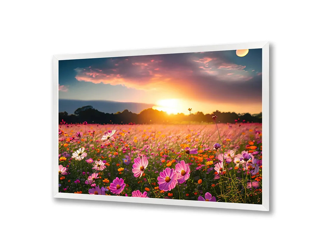 Metalen Magneetbord met print van Lavendelveld zonsondergang perfect als decoratie