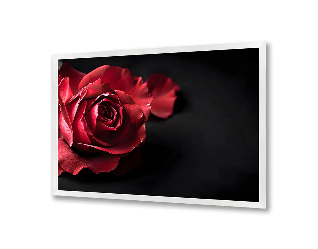 Metalen Magneetbord met print van Rode roos op zwart perfect als decoratie
