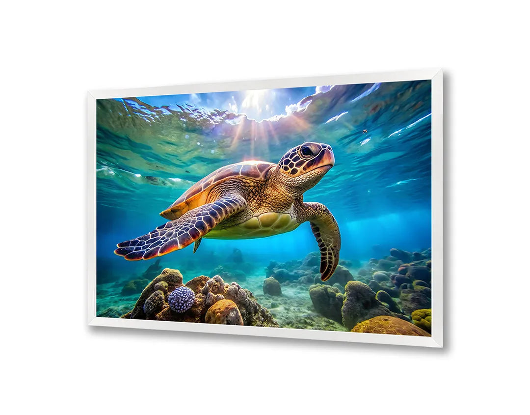 Metalen Magneetbord met hoogwaardige afbeelding van Zeeschildpad onderwater voor aan de muur