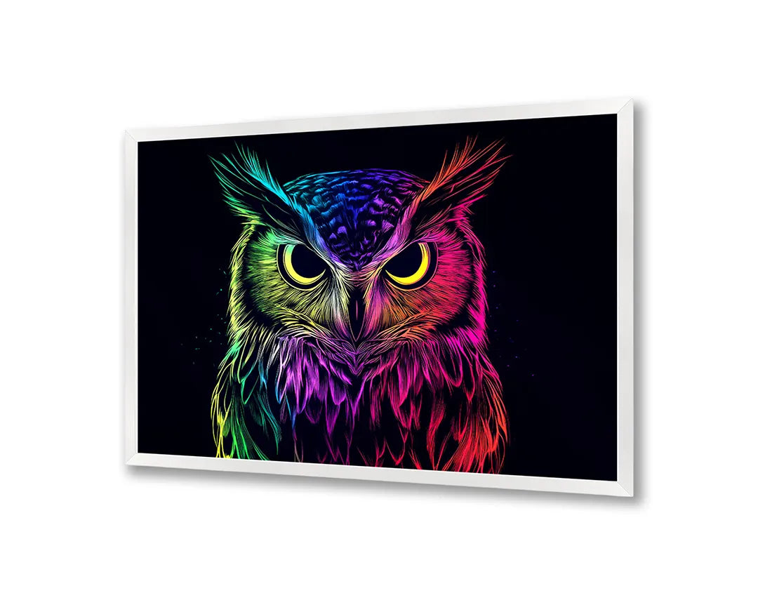 Metalen Magneetbord met hoogwaardige afbeelding van Neon uil zwart voor aan de muur