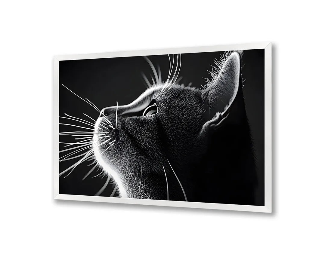 Metalen Magneetbord met hoogwaardige afbeelding van Zwart wit kat profiel voor aan de muur