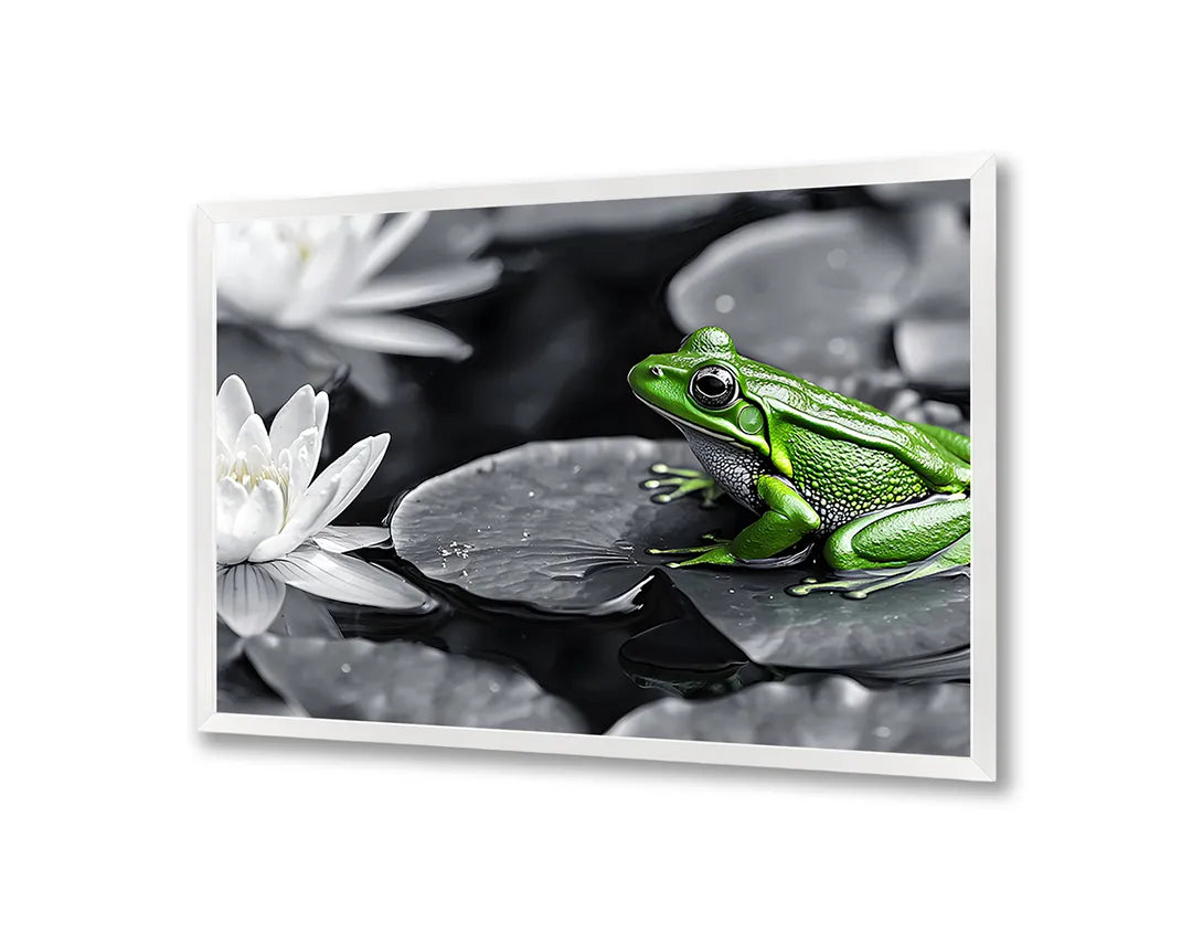 Metalen Magneetbord met hoogwaardige afbeelding van Kikker op lotusblad voor aan de muur