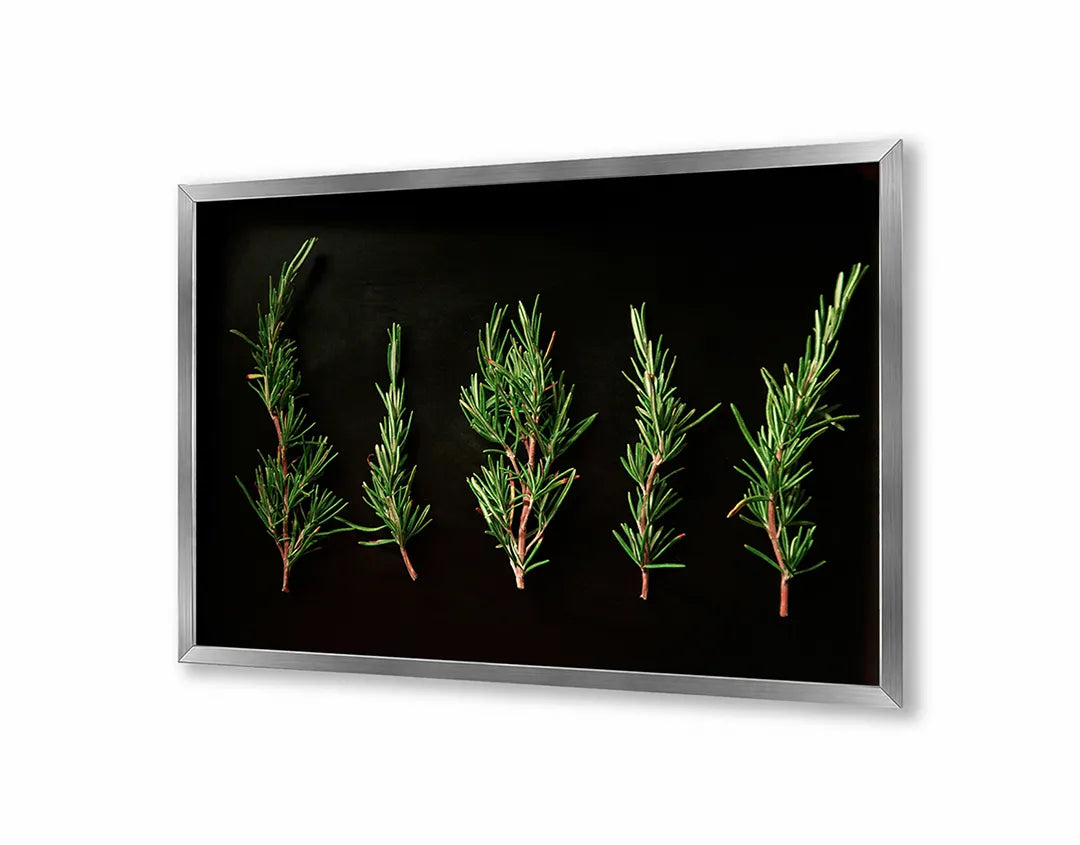 Metalen magneetbord met print en lijst | Rozemarijn op Zwarte Achtergrond