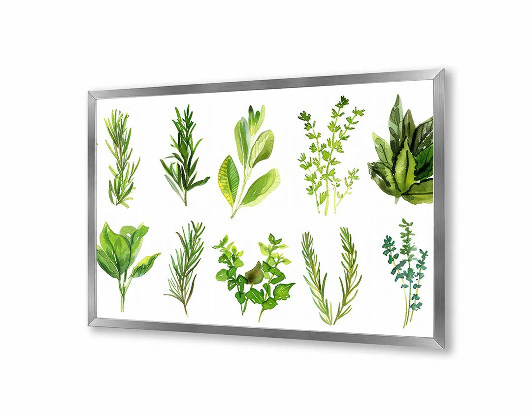 Metalen Magneetbord met hoogwaardige afbeelding van Groene kruiden set illustratie voor aan de muur
