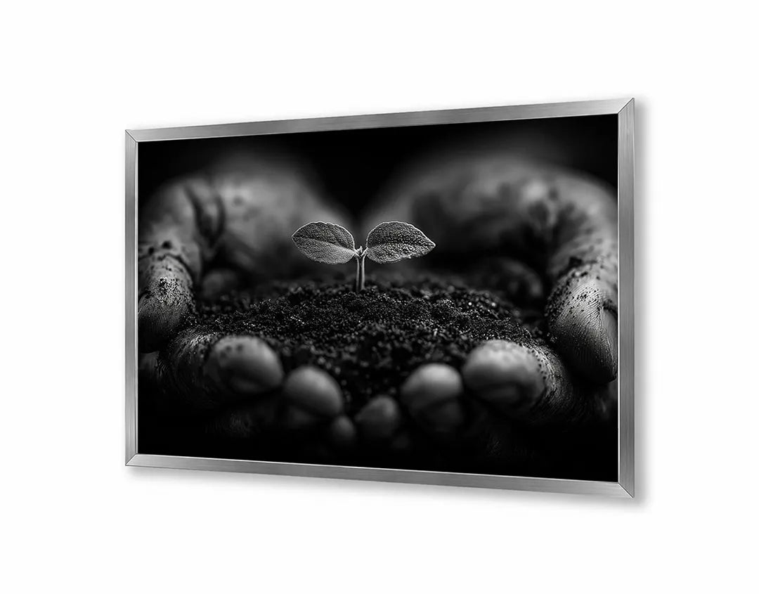 Metalen Magneetbord met hoogwaardige afbeelding van Handen met aarde plantje zwart wit voor aan de muur