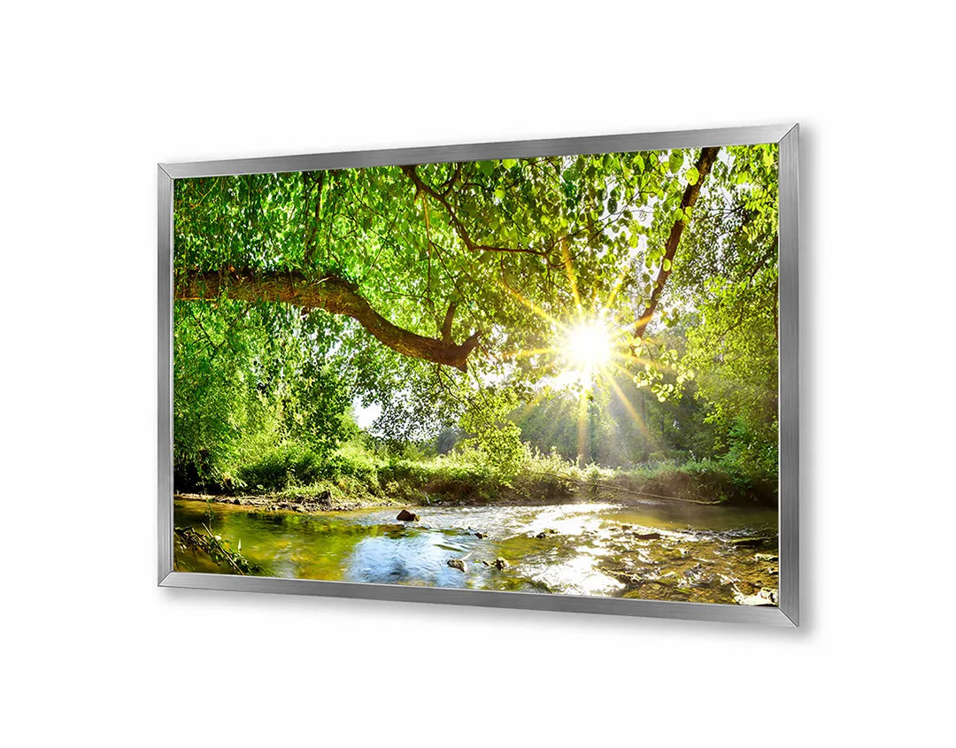 Metalen Magneetbord met afbeelding van groen bos met zonnestralen in fris bosgroen kleuren