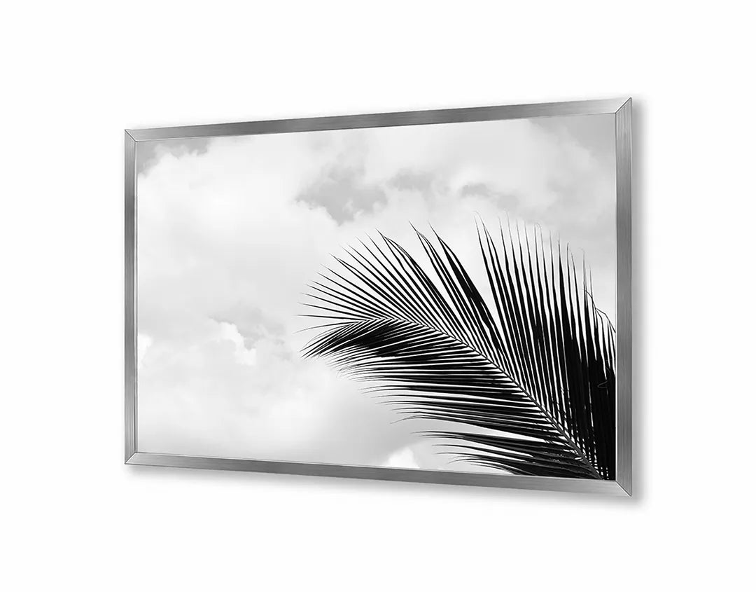 Metalen Magneetbord met afbeelding van palmblad in zwart-wit in zwart-wit kleuren