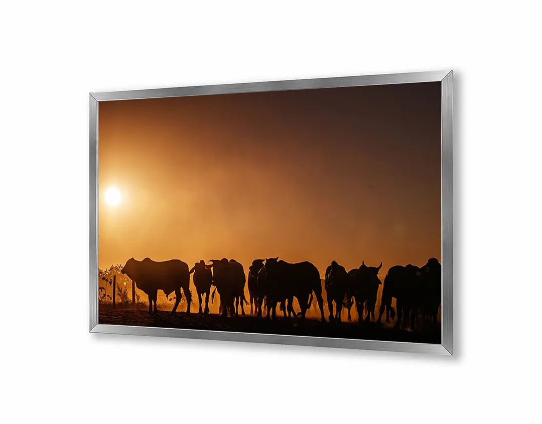 Metalen Magneetbord met print van Koeien silhouet zonsondergang perfect als decoratie