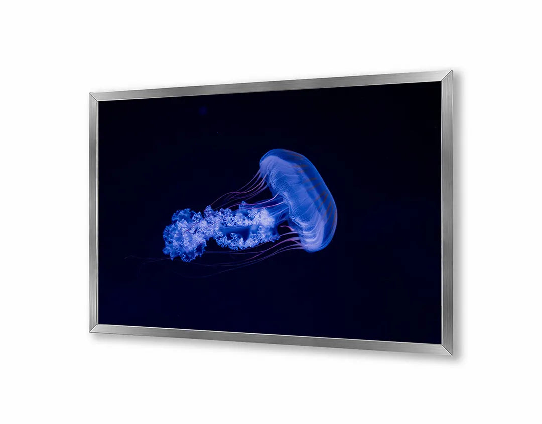 Metalen Magneetbord met print van Blauwe kwal onderwater perfect als decoratie