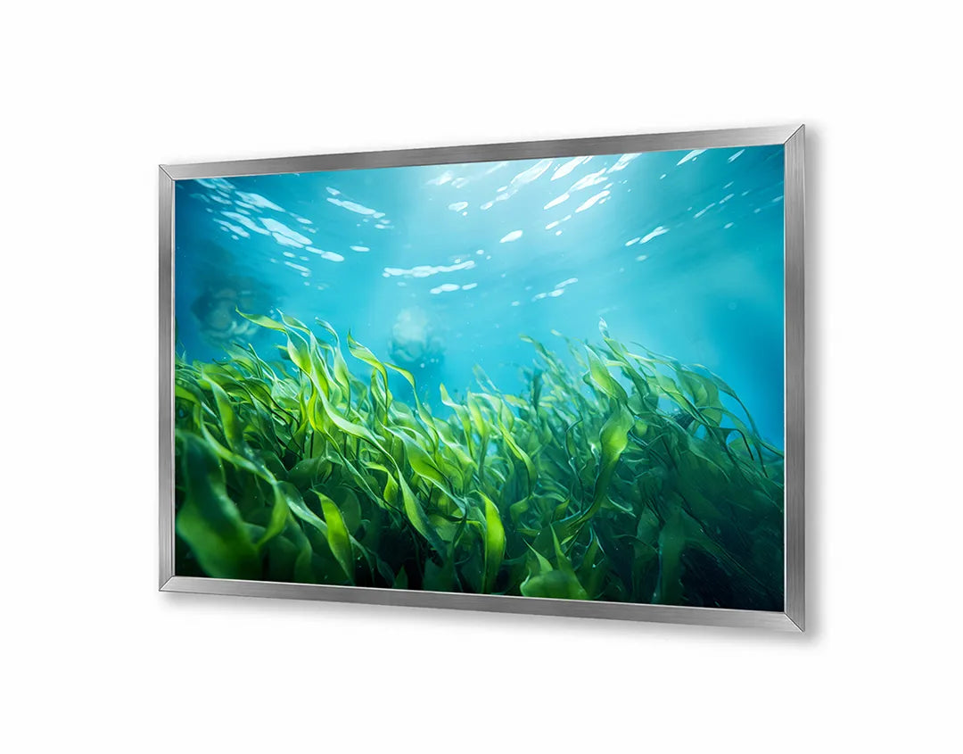 Metalen Magneetbord met print van Groene bladeren onderwater perfect als decoratie