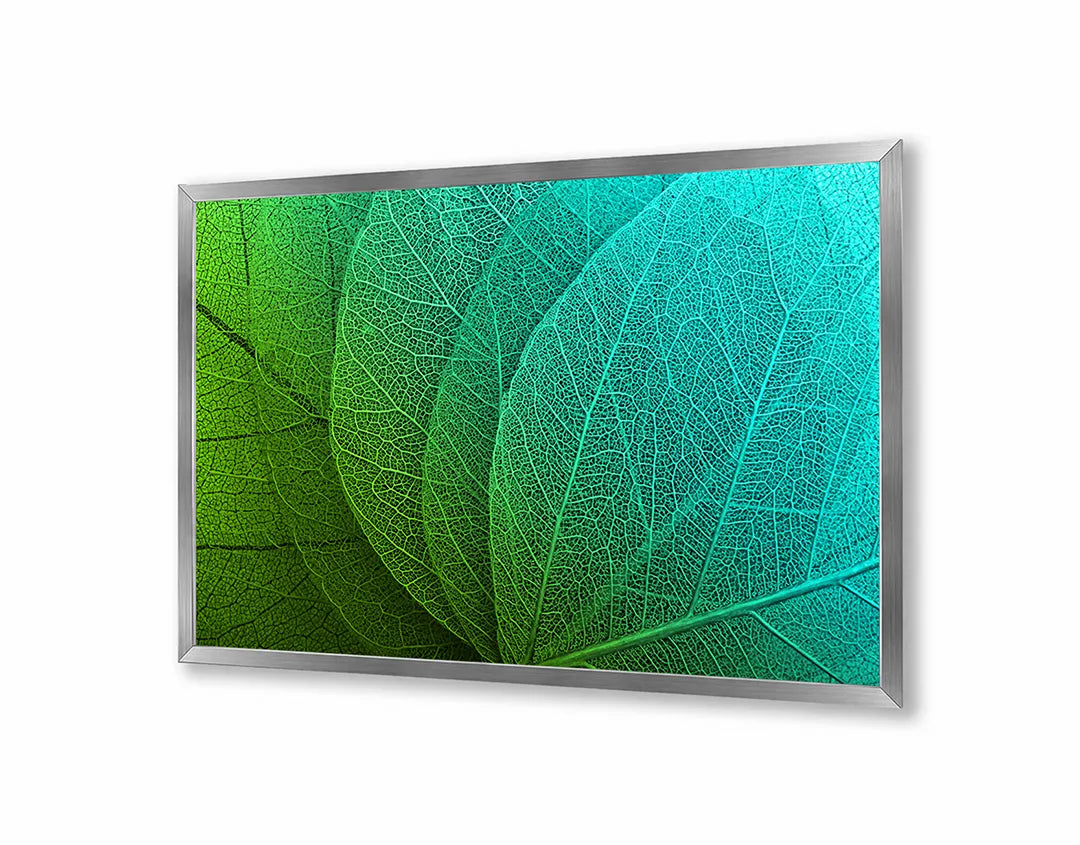 Metalen Magneetbord met afbeelding van groen blad macro detail in levendig groen kleuren