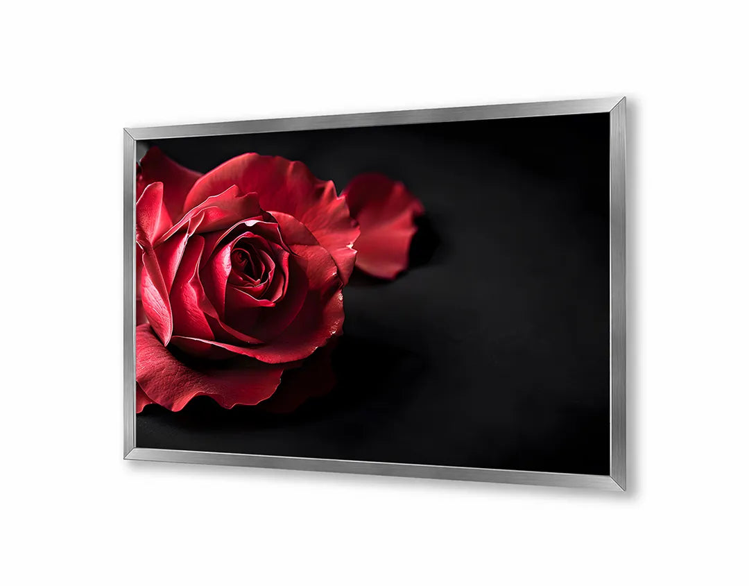 Metalen Magneetbord met print van Rode roos op zwart perfect als decoratie