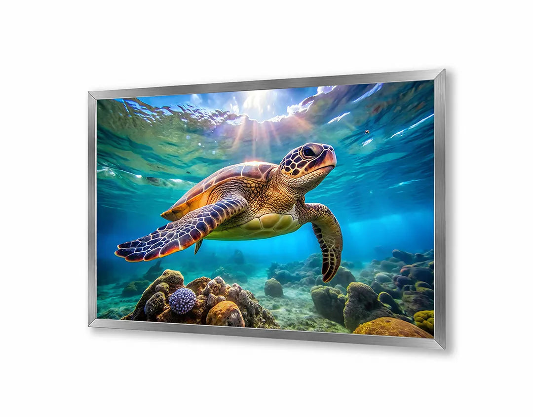 Metalen Magneetbord met hoogwaardige afbeelding van Zeeschildpad onderwater voor aan de muur