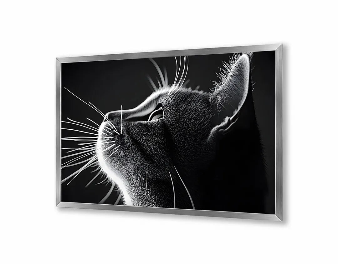 Metalen Magneetbord met hoogwaardige afbeelding van Zwart wit kat profiel voor aan de muur