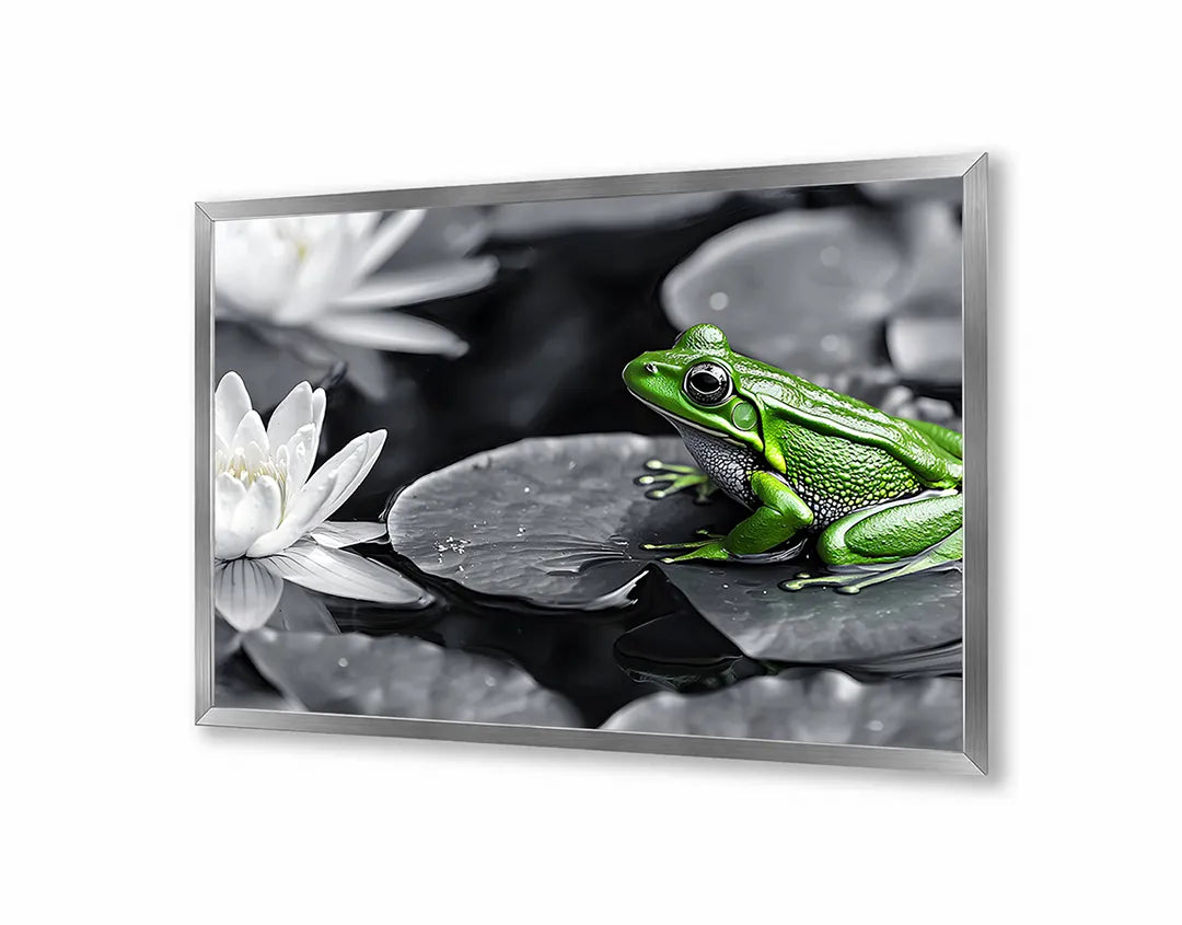 Metalen Magneetbord met hoogwaardige afbeelding van Kikker op lotusblad voor aan de muur
