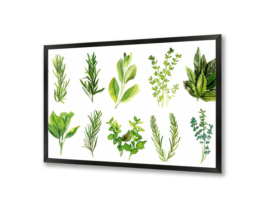 Metalen Magneetbord met hoogwaardige afbeelding van Groene kruiden set illustratie voor aan de muur