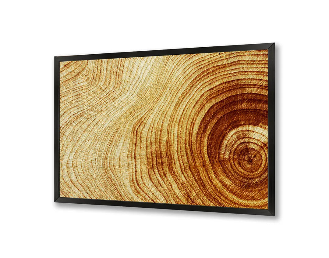 Metalen Magneetbord met hoogwaardige afbeelding van Boomstam doorsnede ringen hout voor aan de muur