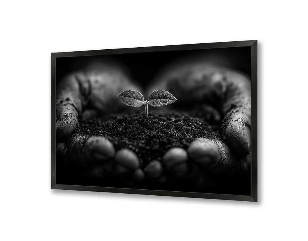 Metalen Magneetbord met hoogwaardige afbeelding van Handen met aarde plantje zwart wit voor aan de muur