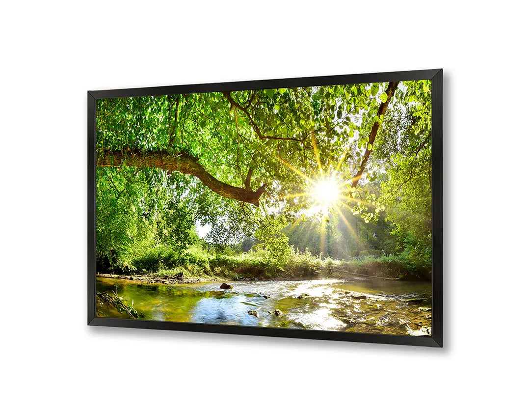 Metalen Magneetbord met afbeelding van groen bos met zonnestralen in fris bosgroen kleuren