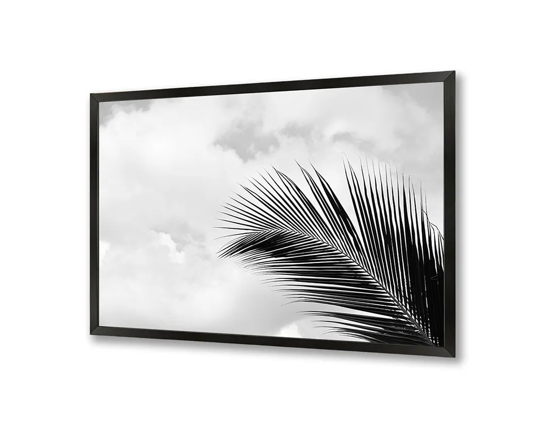 Metalen Magneetbord met afbeelding van palmblad in zwart-wit in zwart-wit kleuren