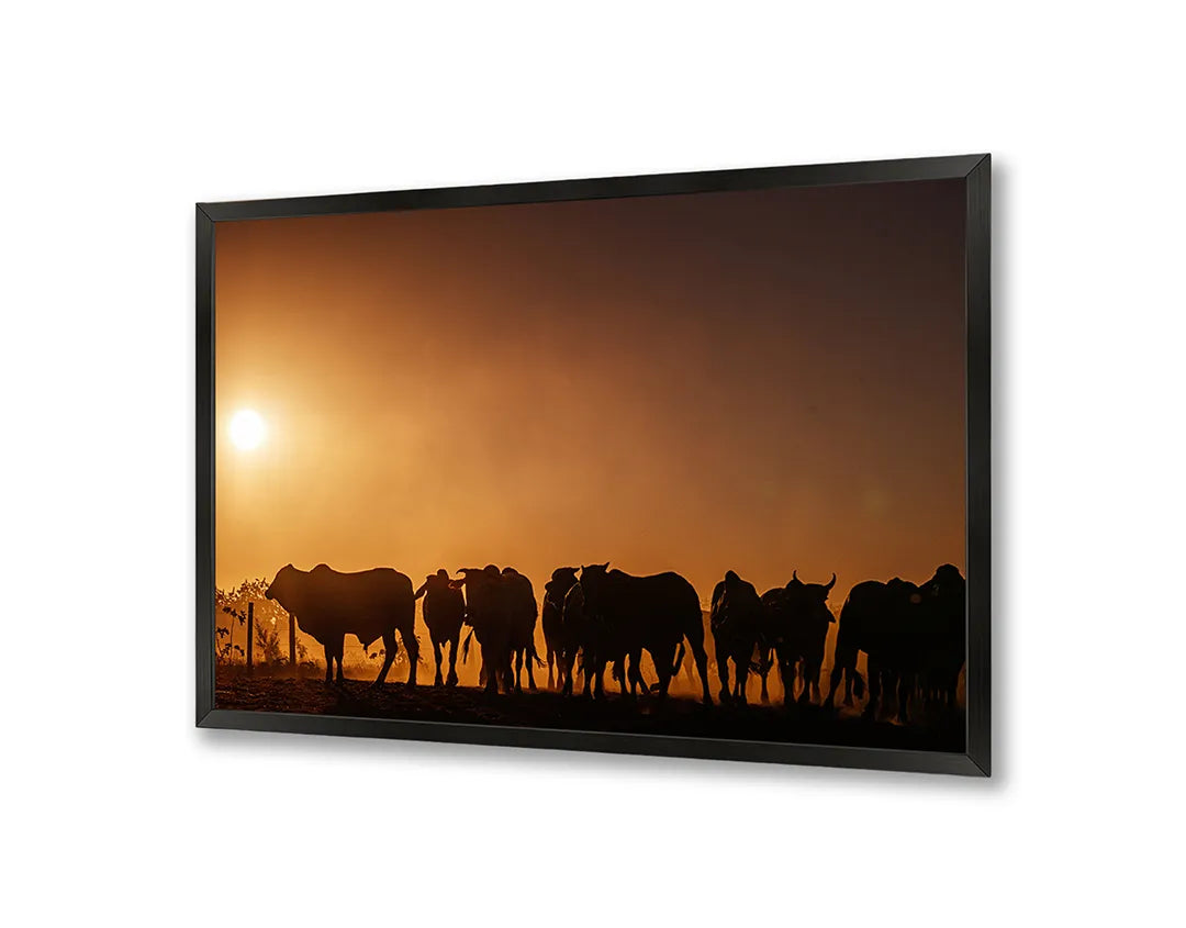 Metalen Magneetbord met print van Koeien silhouet zonsondergang perfect als decoratie