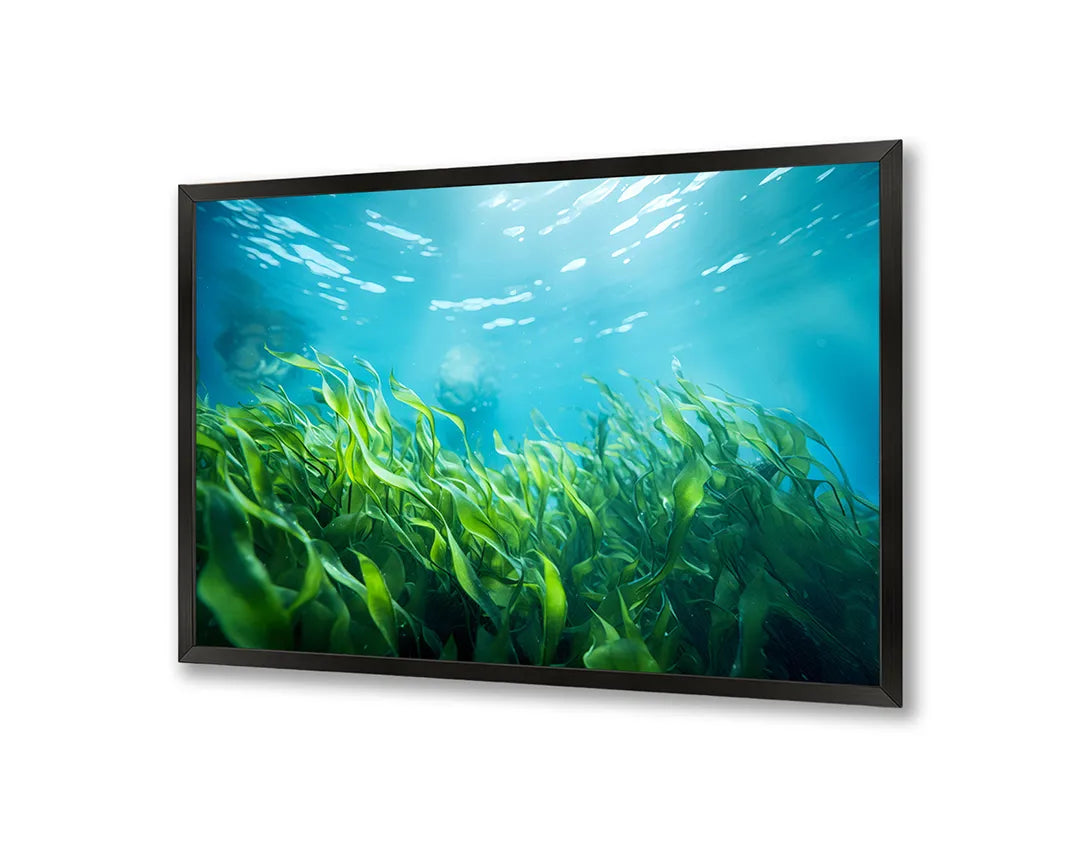 Metalen Magneetbord met print van Groene bladeren onderwater perfect als decoratie