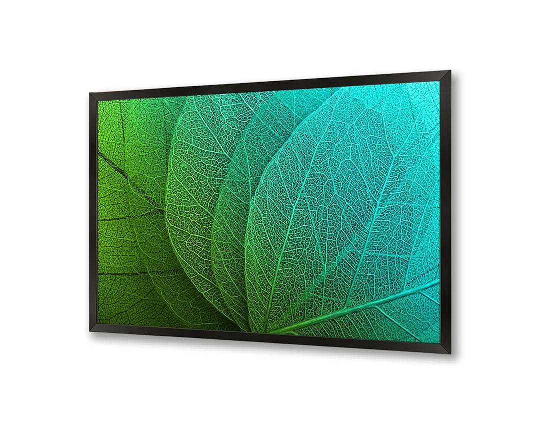 Metalen Magneetbord met afbeelding van groen blad macro detail in levendig groen kleuren
