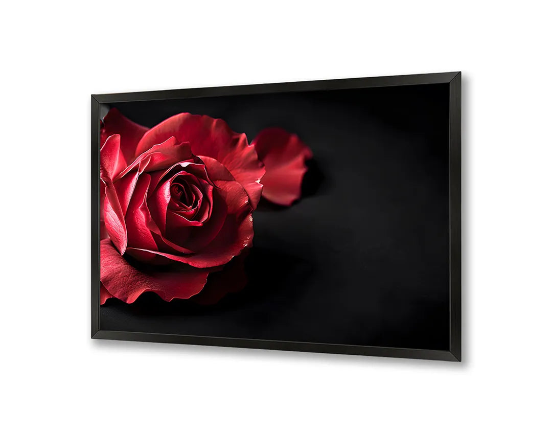Metalen Magneetbord met print van Rode roos op zwart perfect als decoratie