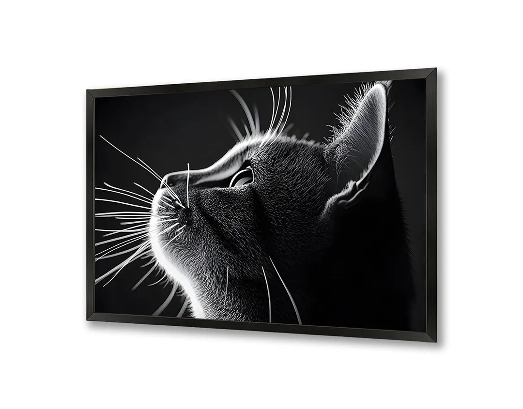 Metalen Magneetbord met hoogwaardige afbeelding van Zwart wit kat profiel voor aan de muur