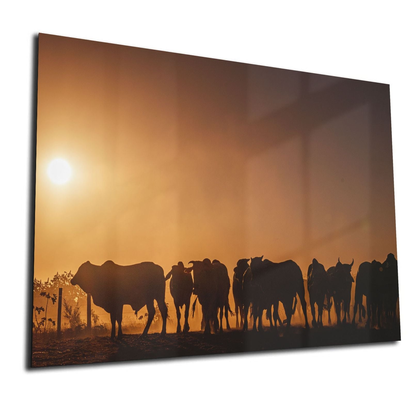 Whiteboard van glas - Magneetbord - Dieren op de horizon