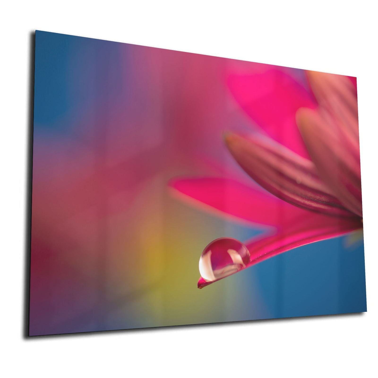 Whiteboard van glas - Magneetbord - Bloem met druppel